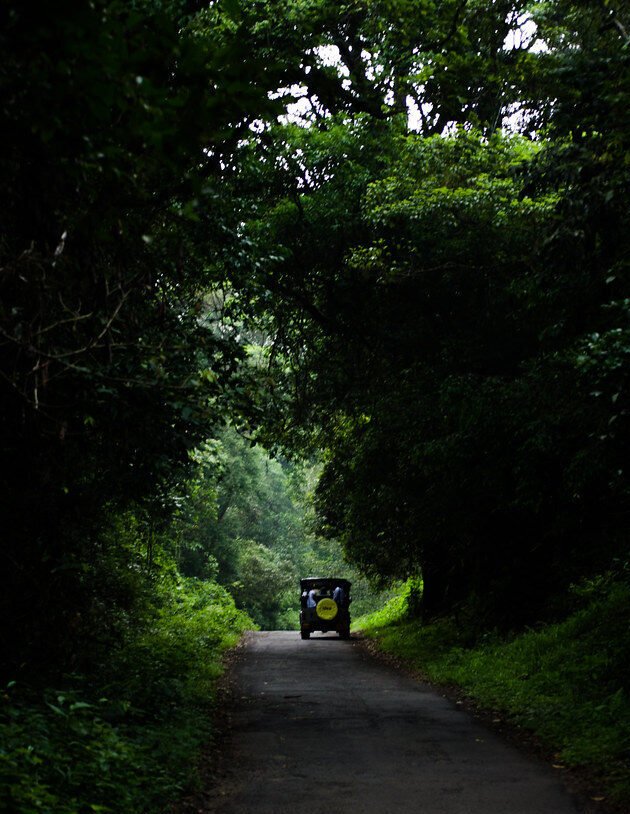 Hill Station